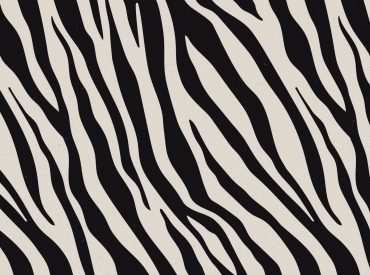 Black and white zebra-stripe pattern