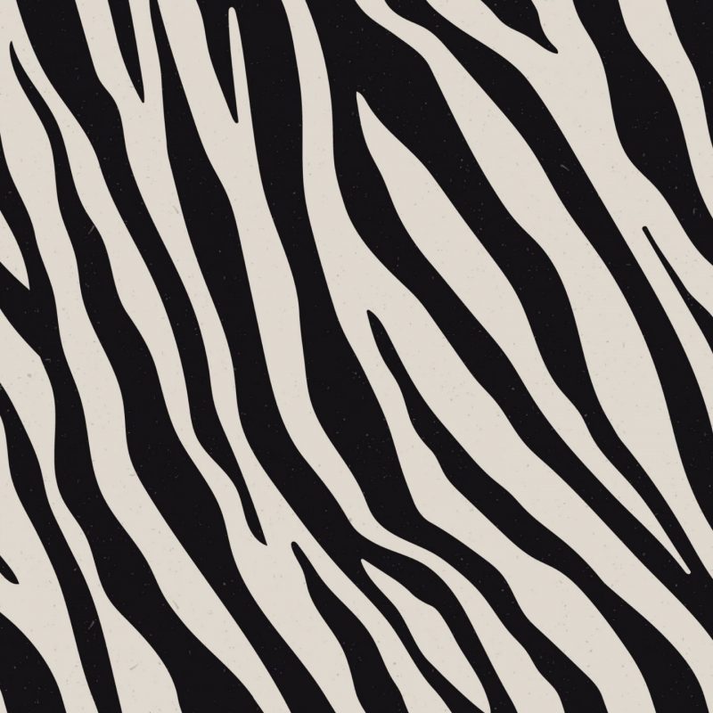 Black and white zebra-stripe pattern